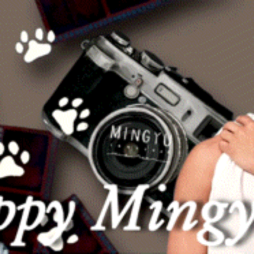 community_articles_contents