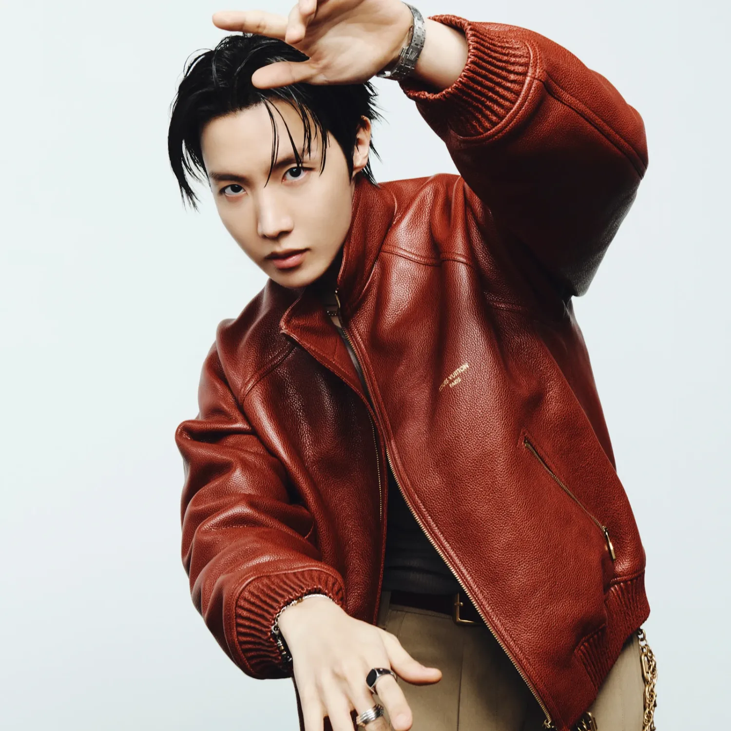 제이홉 (방탄소년단) 팬이 찍은 순간