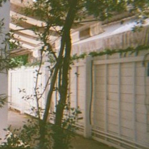 Recent activity shot of Hong (LYKN)