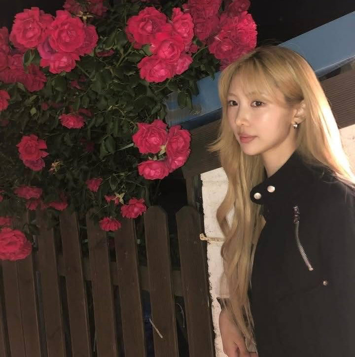 Potret di balik layar DREAMCATCHER