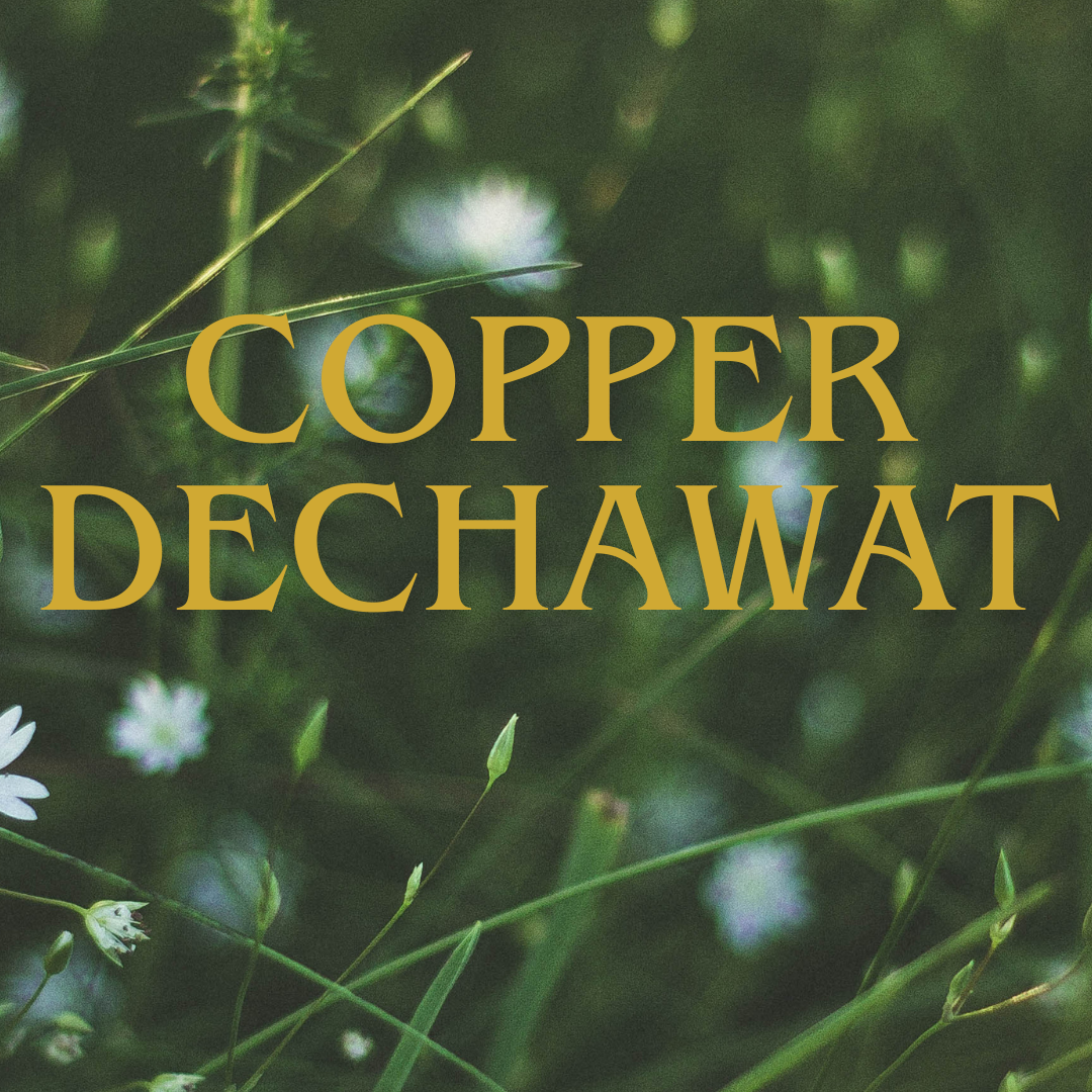 Behind-the-scenes cut of Copper (BUS)