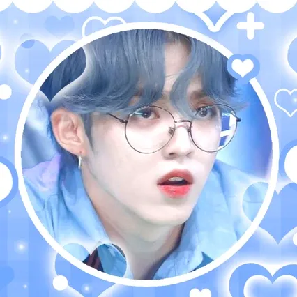 세븐틴 팬이 찍은 순간