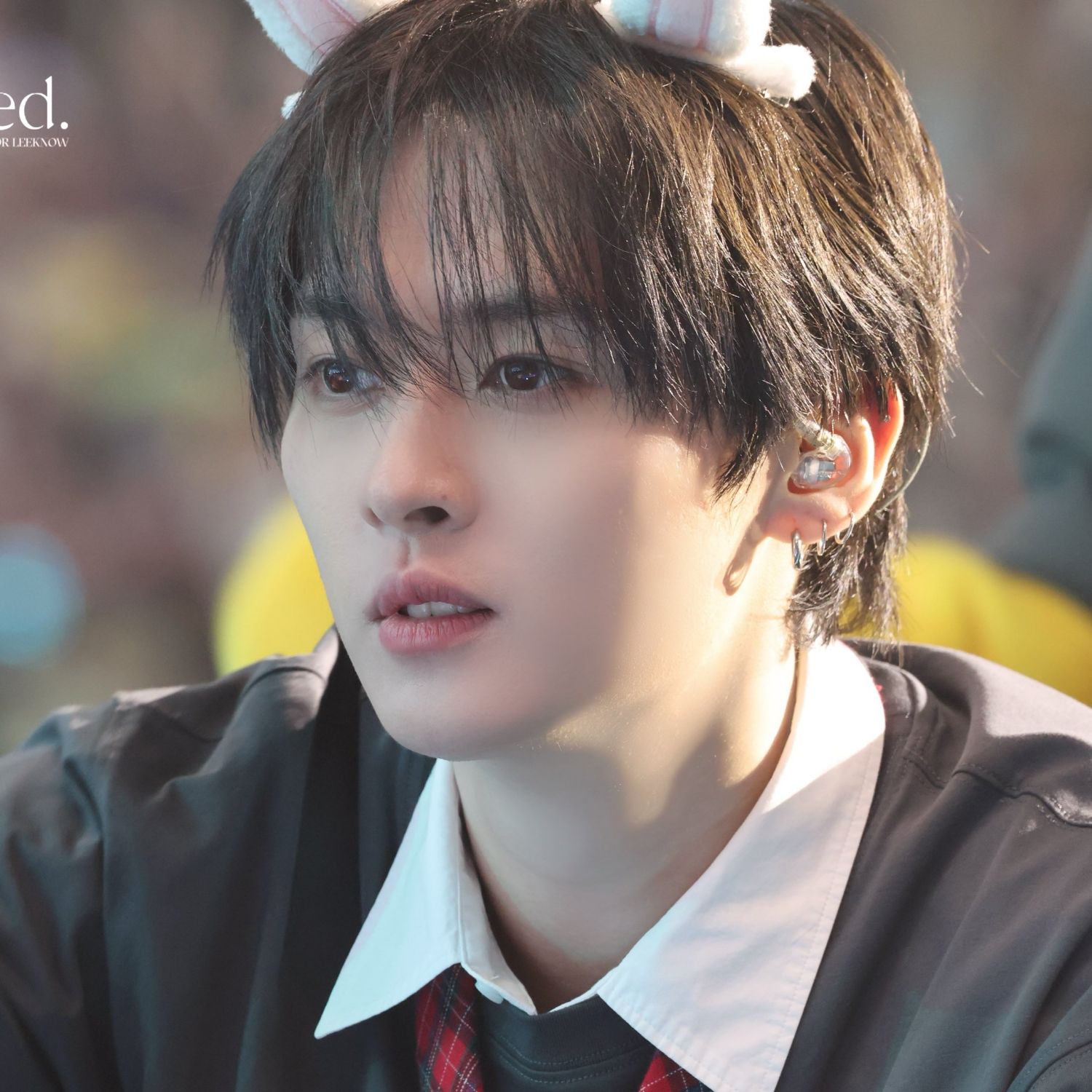 Recent activity shot of Lee Know (Stray Kids)