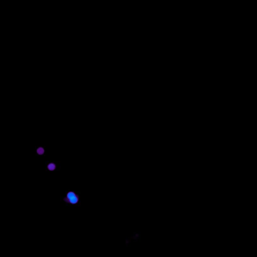 玟星 (MAMAMOO)粉丝拍下的瞬间