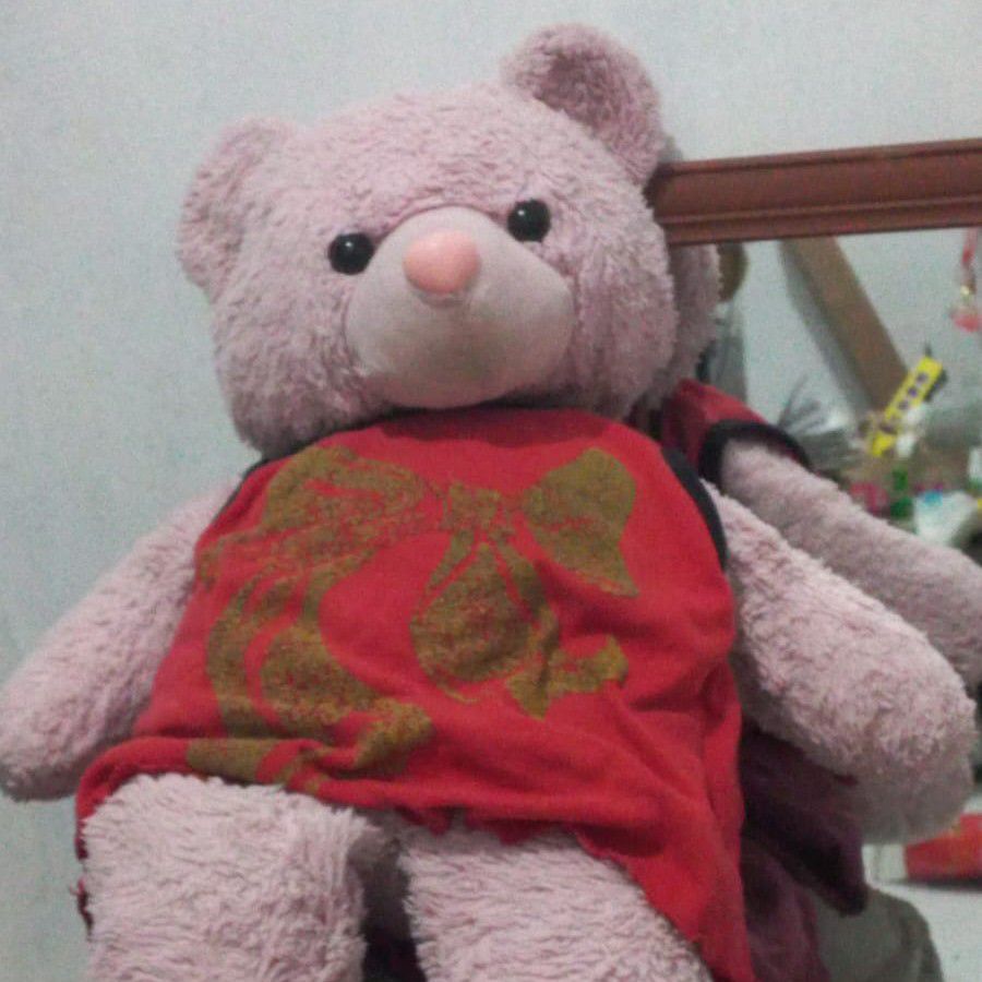 A moment captured by EXO's fan