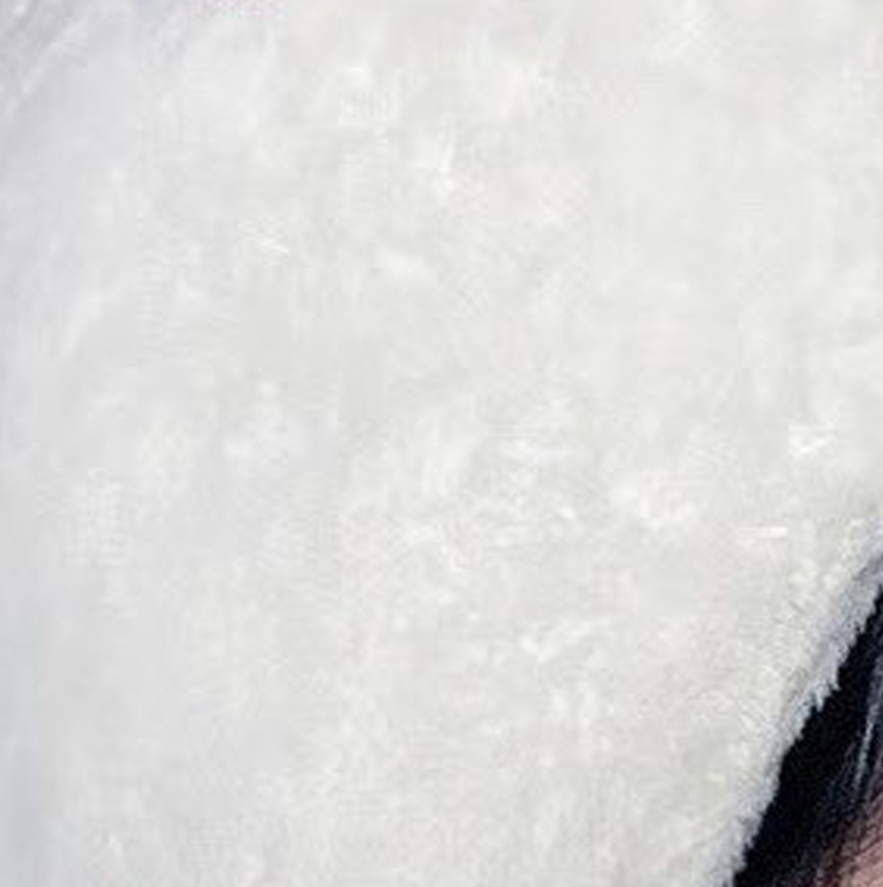 Recent activity shot of Choerry (ARTMS)