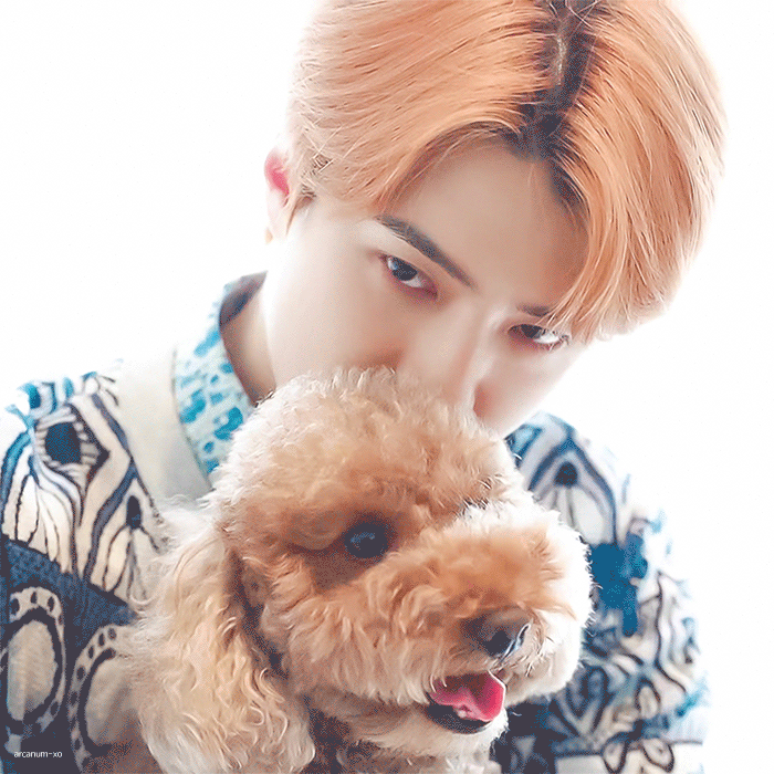 세훈 (EXO) 팬이 찍은 순간