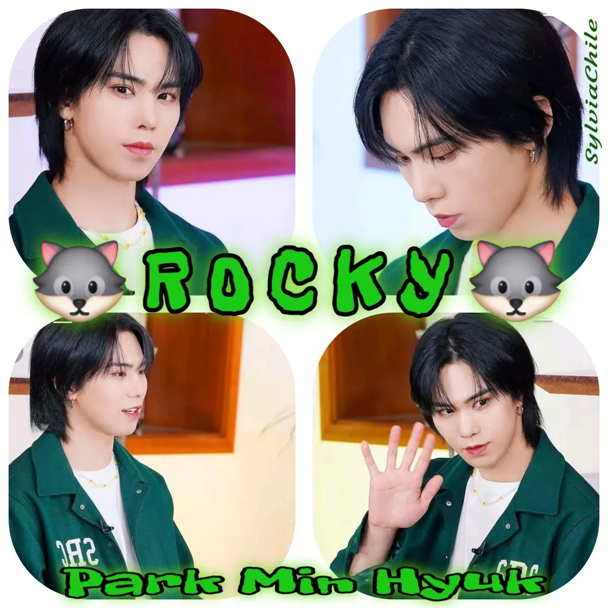 Latest photo of Rocky