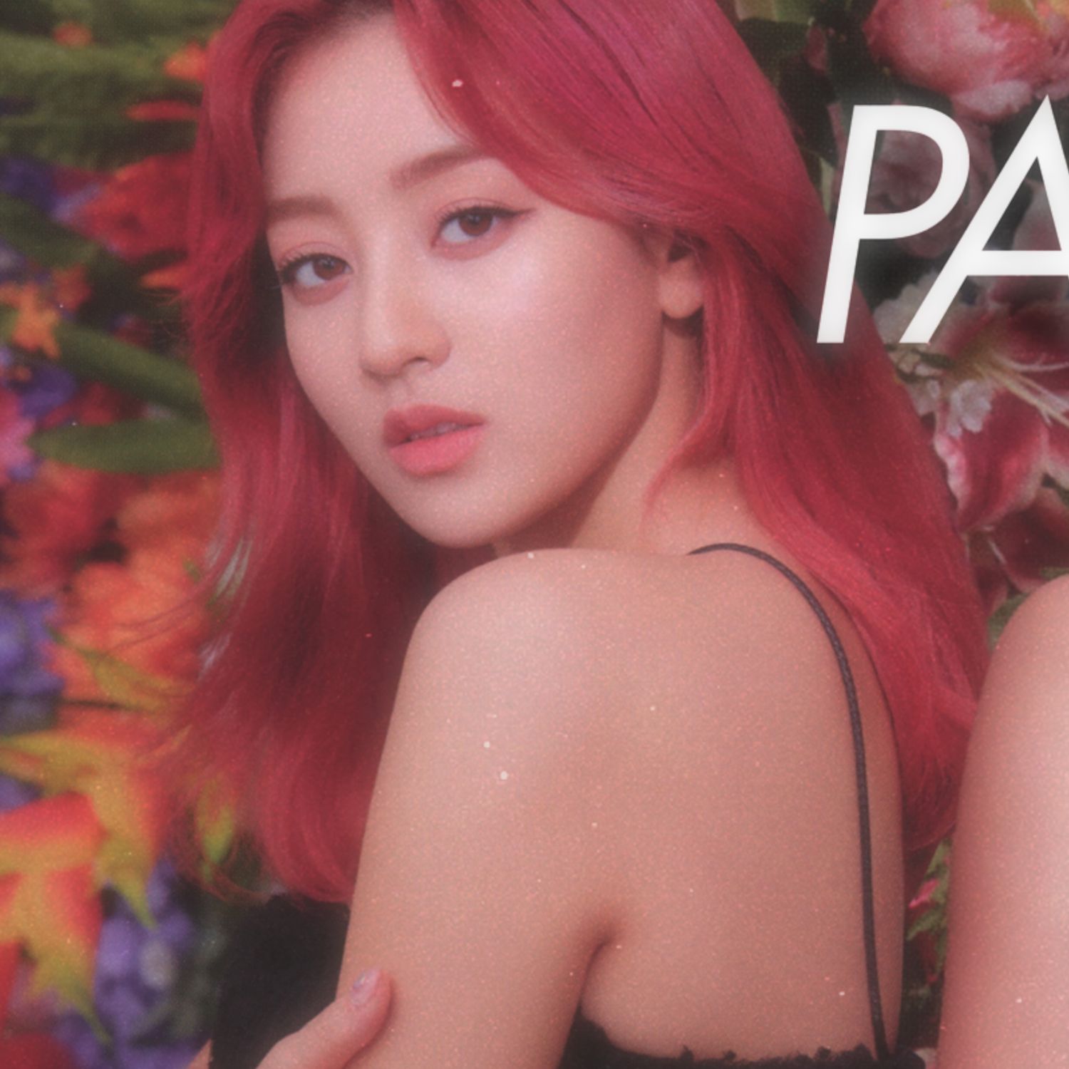 志效 (TWICE)的最新活動照片