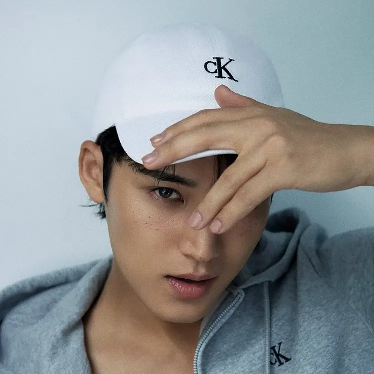 Recent activity shot of Mingyu (SEVENTEEN)