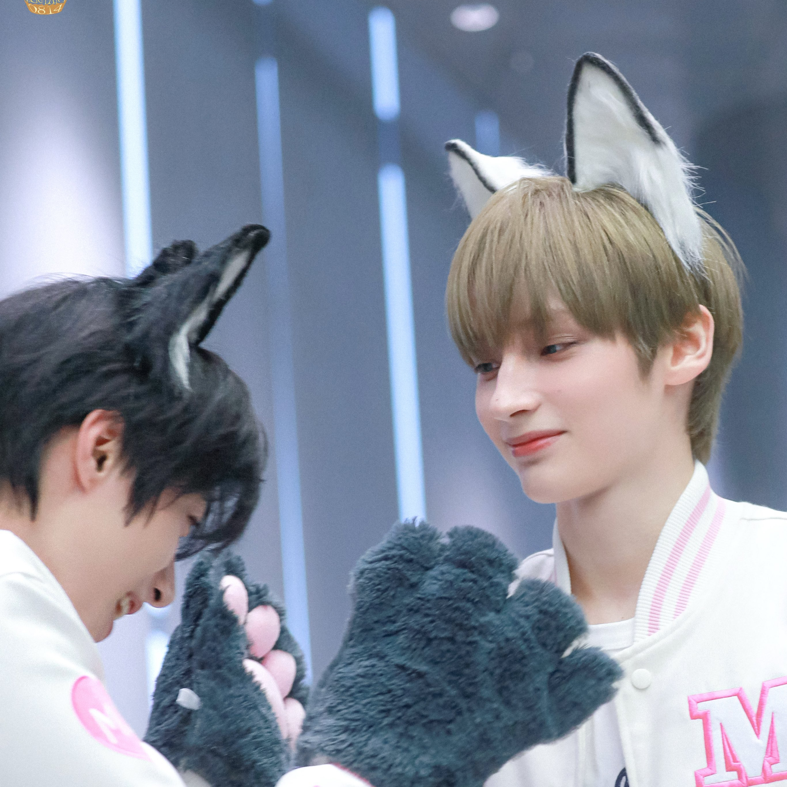 투모로우바이투게더의 최신 사진