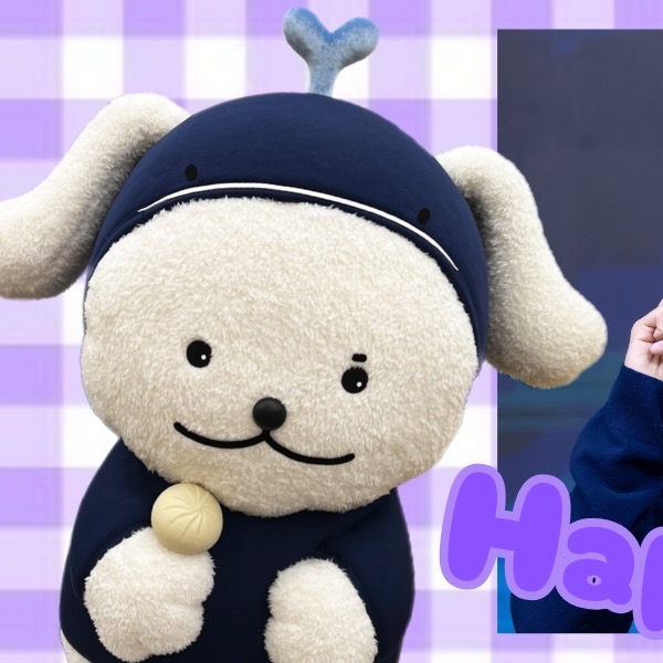 コミュニティで話題の人気アイドルコンテンツ