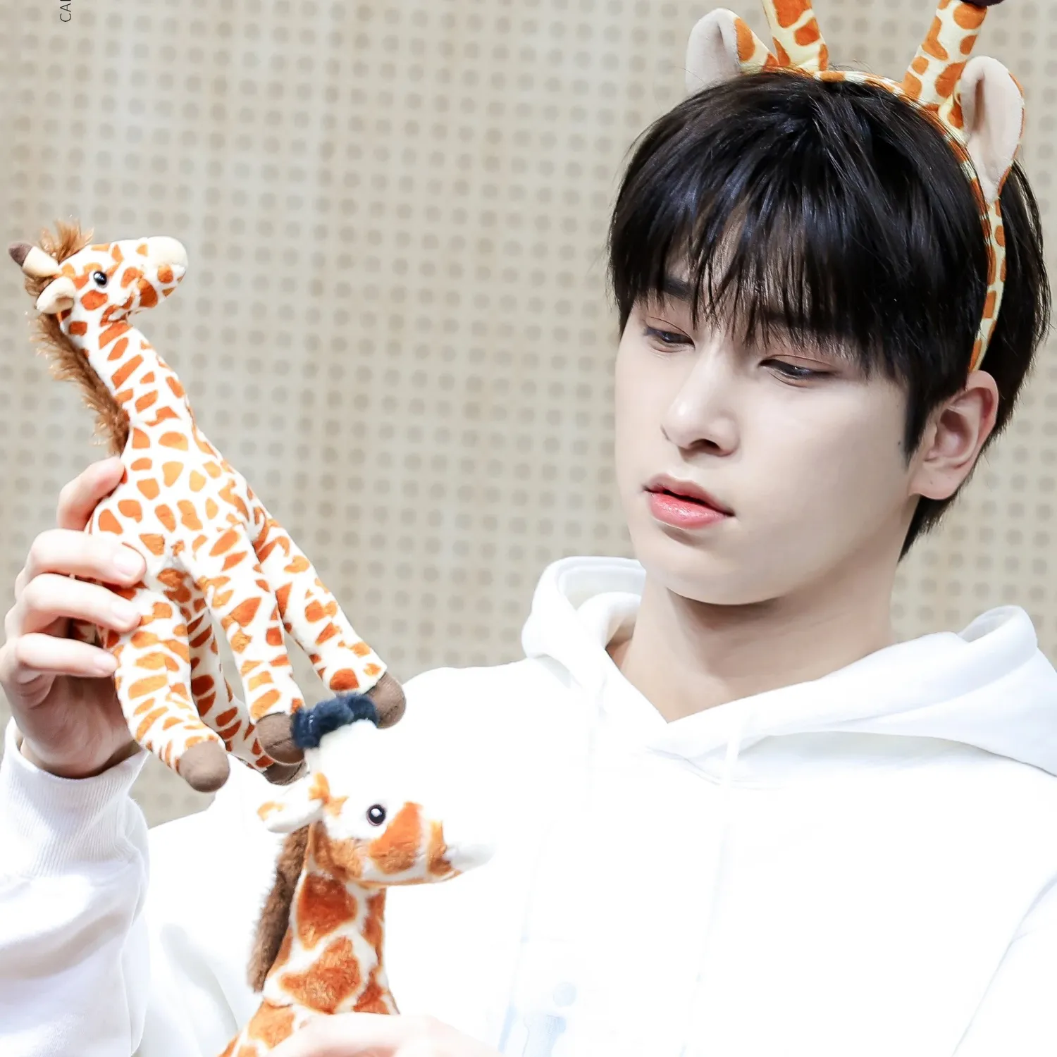 Recent activity shot of Hangyul (POLARIX)