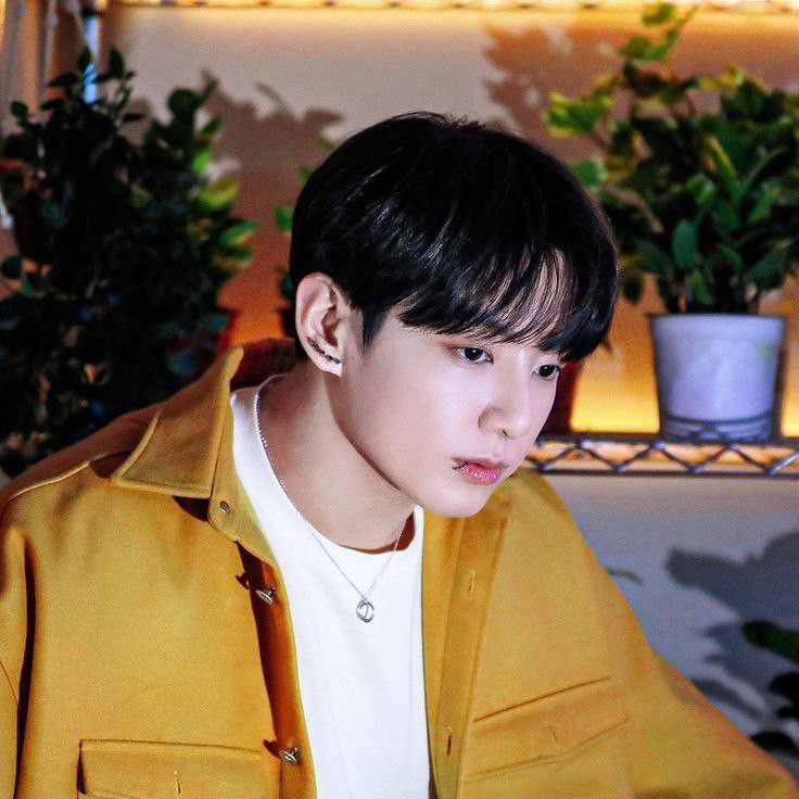 정국 (방탄소년단) 팬이 찍은 순간