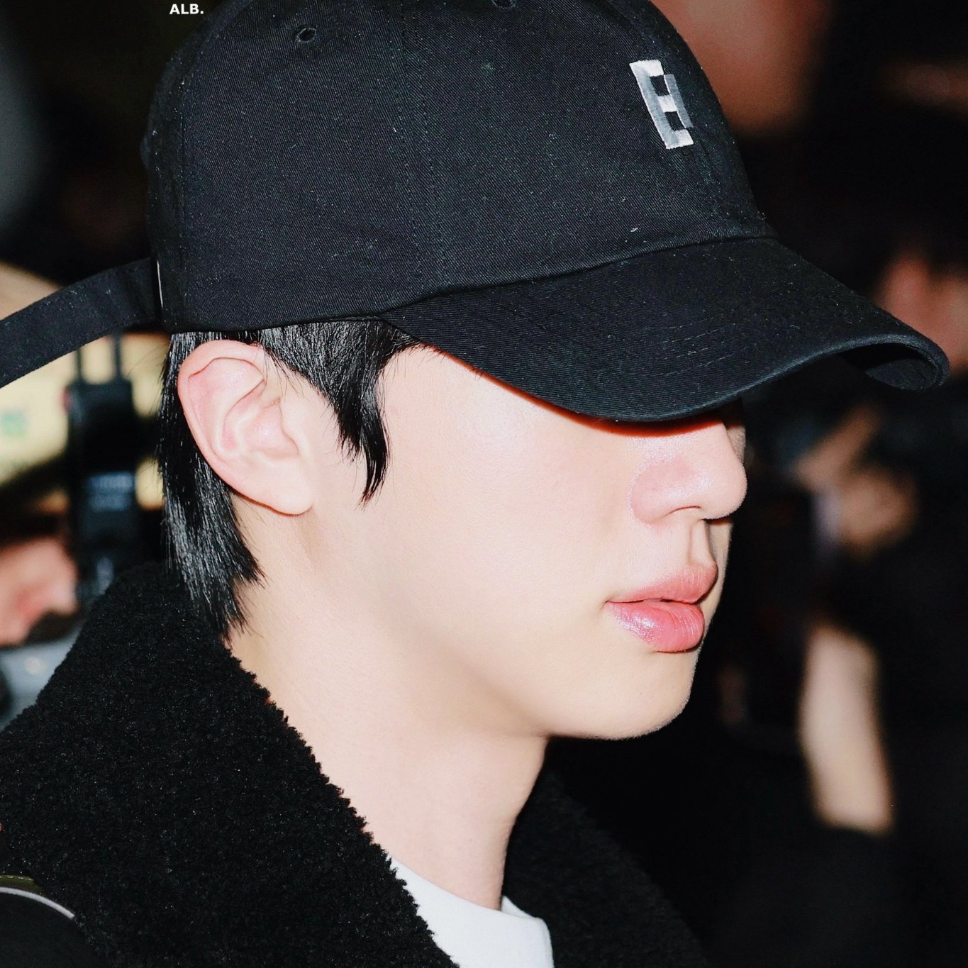 진 (방탄소년단) 팬이 찍은 순간