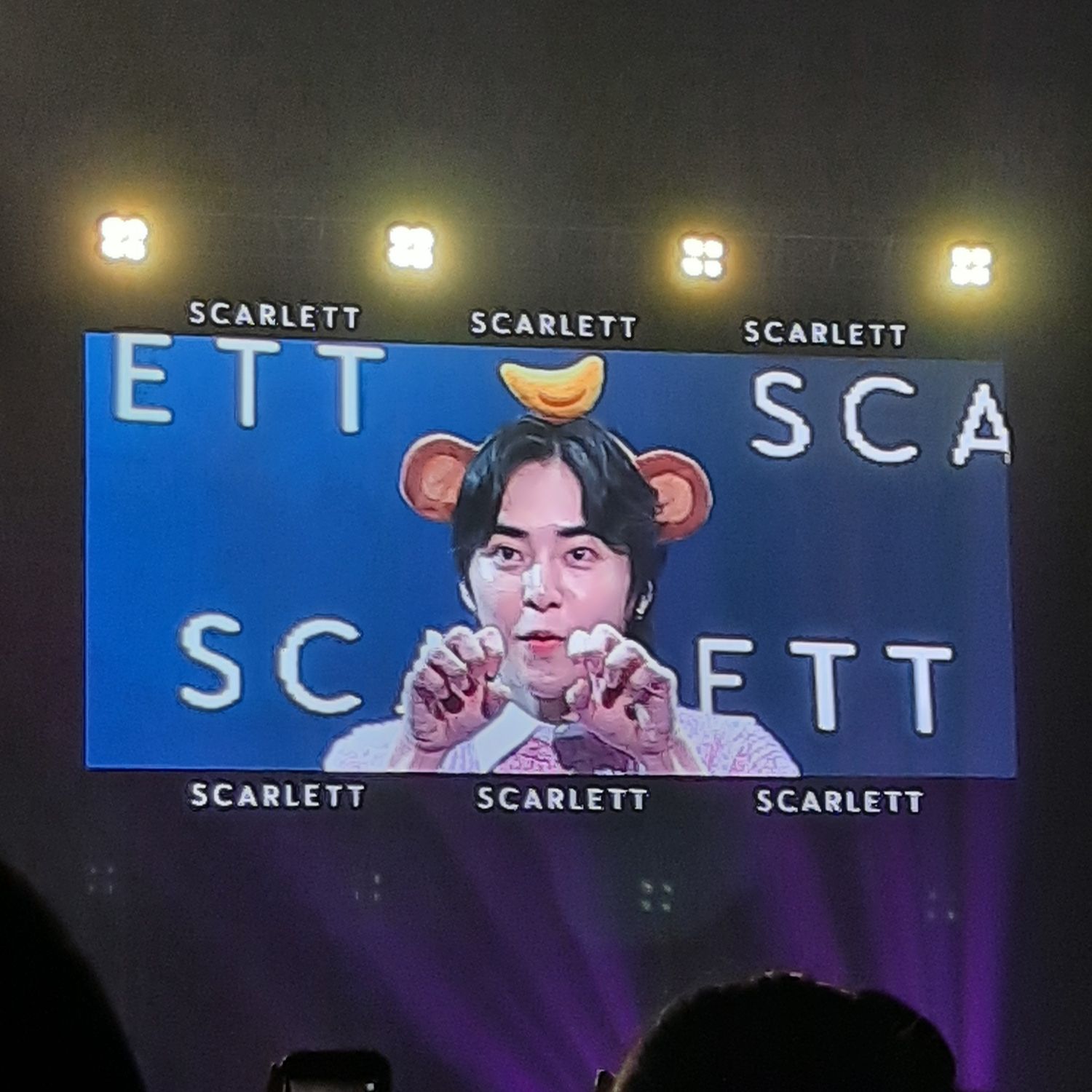EXOファンが撮った瞬間