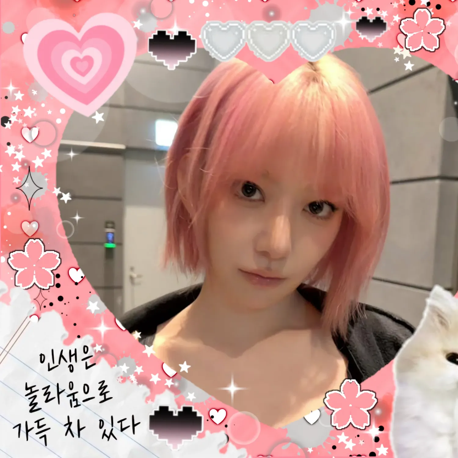 Latest photo of Sakura (LE SSERAFIM)
