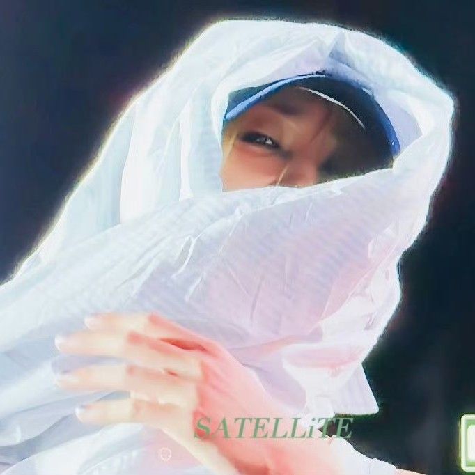 The 8 (SEVENTEEN)ファンが撮った瞬間