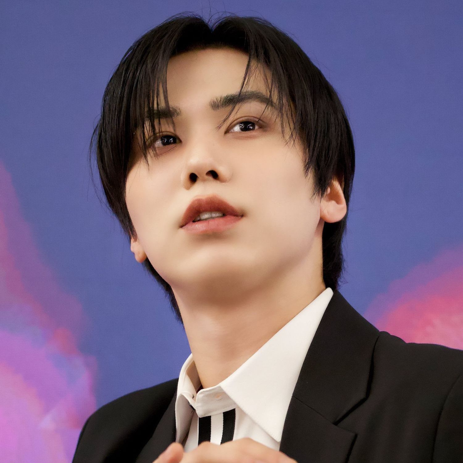 Recent activity shot of Rocky