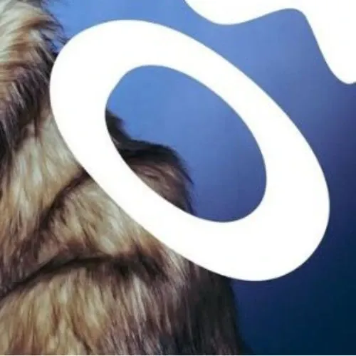 Behind-the-scenes cut of Hong (LYKN)