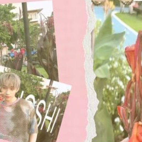 Behind-the-scenes cut of Hong (LYKN)