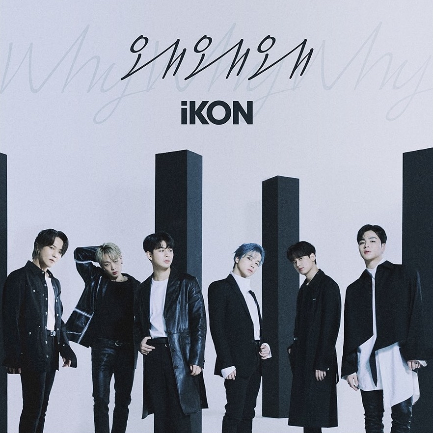 iKON 팬이 찍은 순간