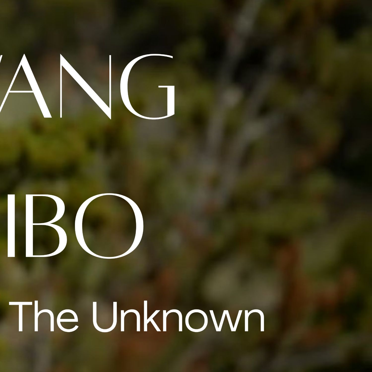 Recent activity shot of Wang Yibo