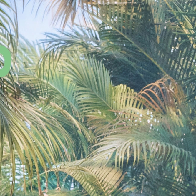 Recent activity shot of Seoho (ONEUS)