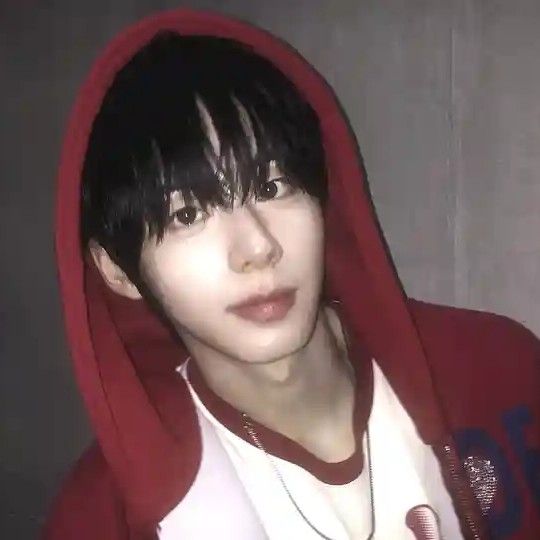 A moment captured by AHOF's fan