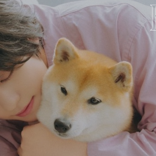 Taki (&TEAM)的最新照片