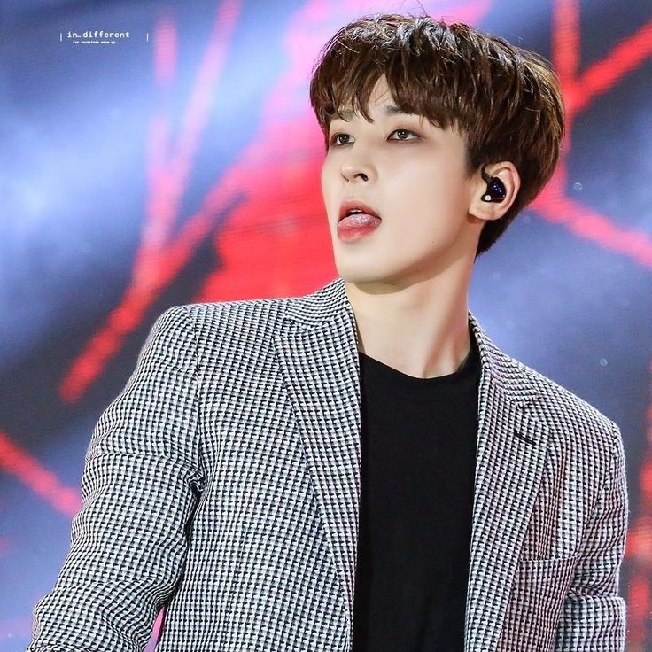 A moment captured by Wonwoo (SEVENTEEN)'s fan