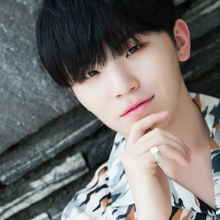 Recent activity shot of Woozi (SEVENTEEN)