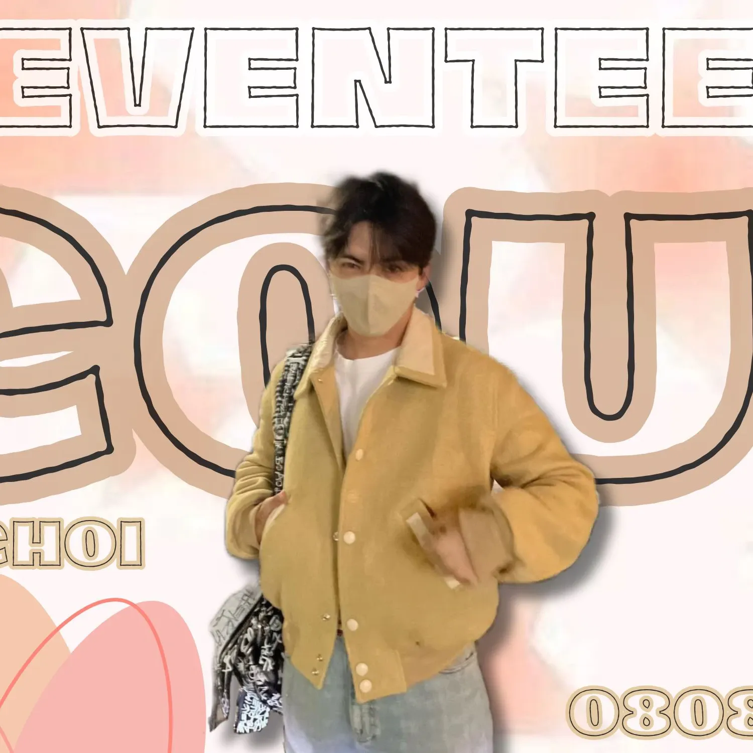 세븐틴 팬이 찍은 순간