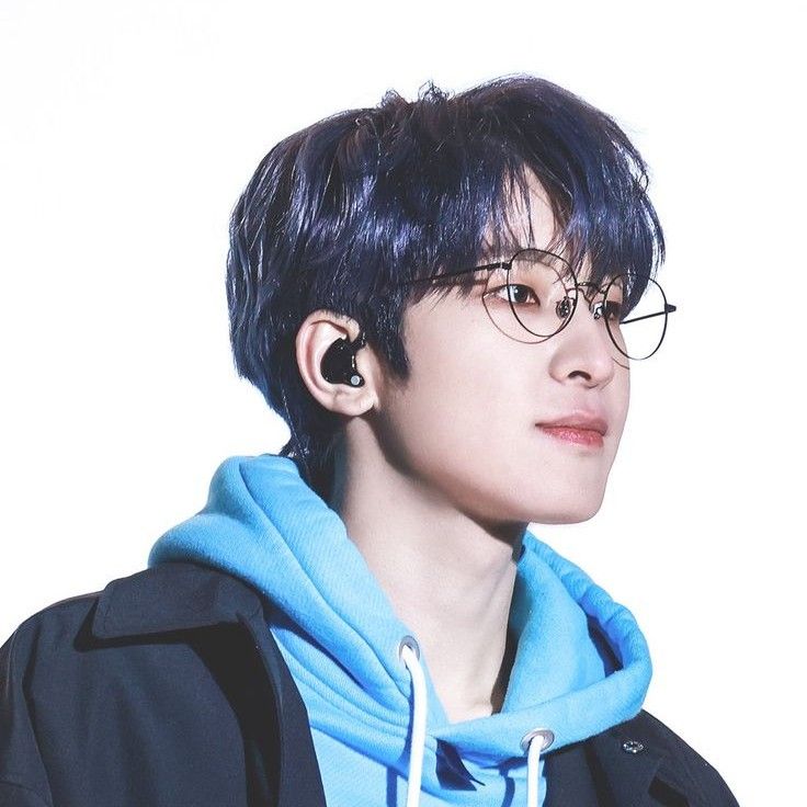 원우 (세븐틴) 팬이 찍은 순간