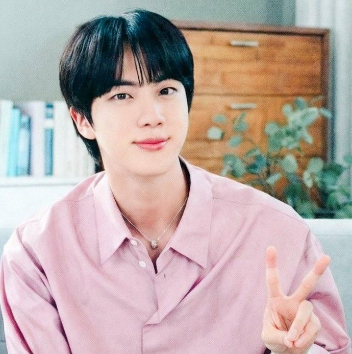 진 (방탄소년단) 팬이 찍은 순간