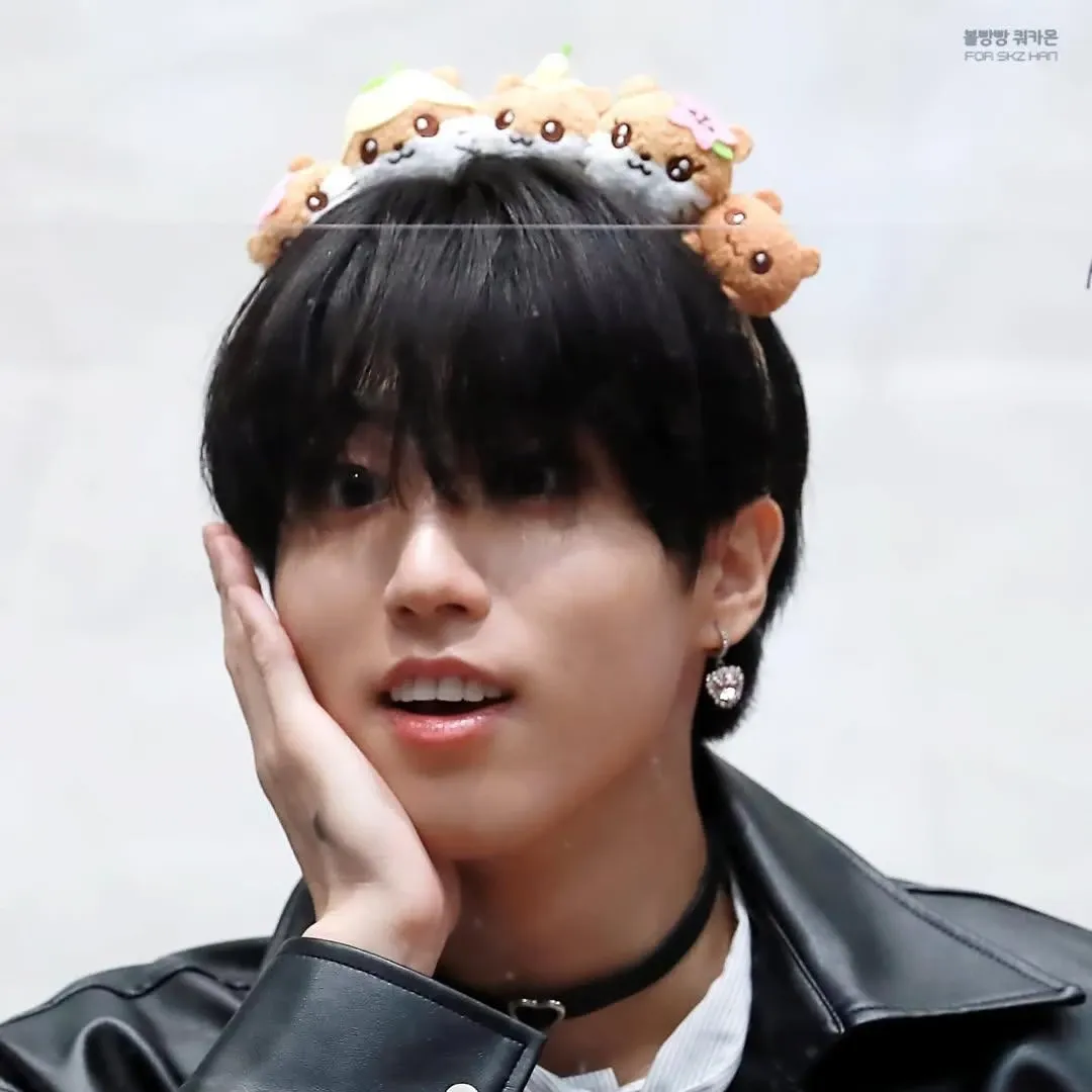 한 (Stray Kids) 팬이 찍은 순간