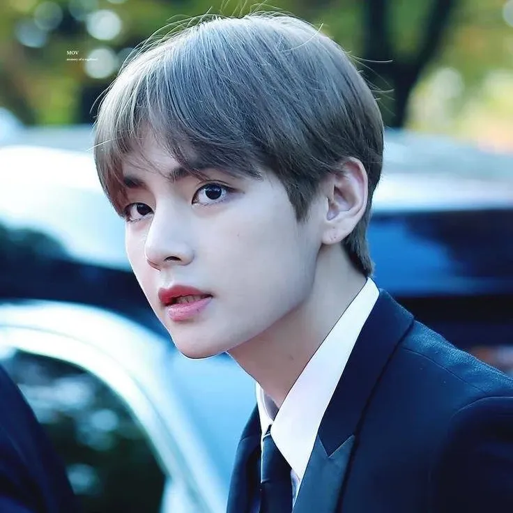 뷔 (방탄소년단) 최근 활동샷