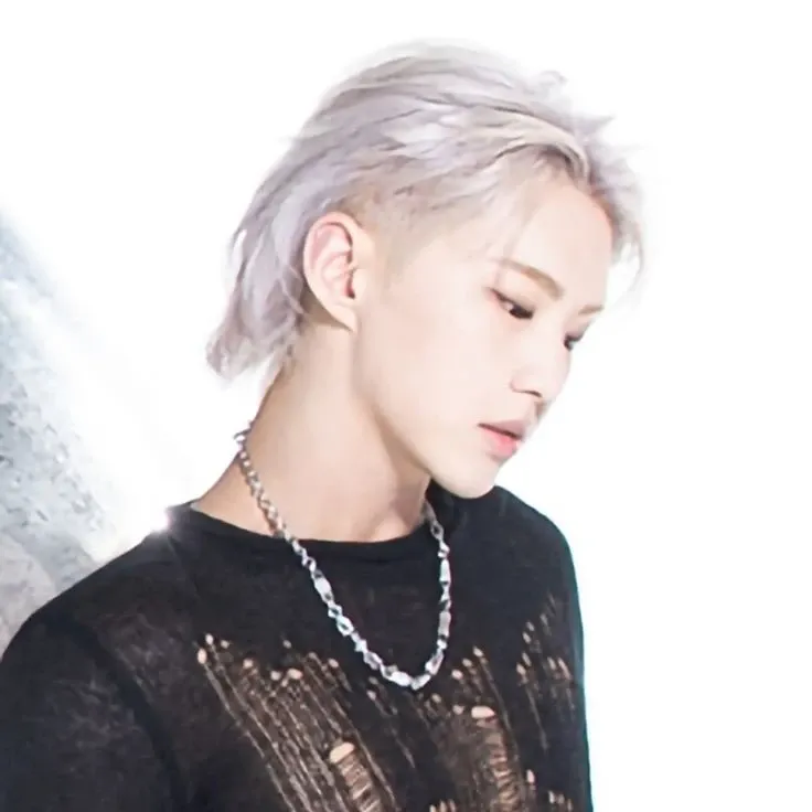 A moment captured by Hoshi (SEVENTEEN)'s fan