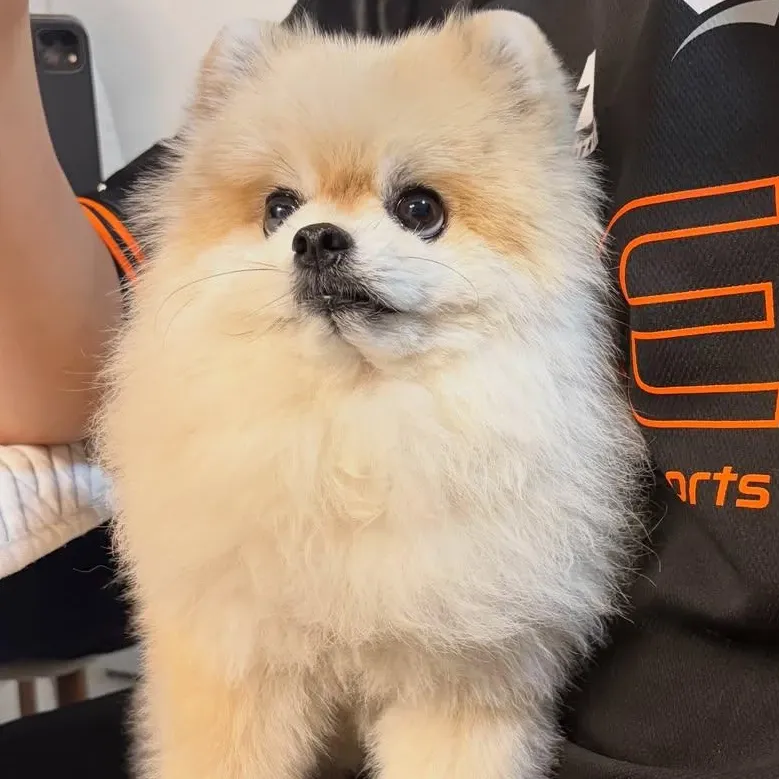 Recent activity shot of Moonbin (ASTRO)