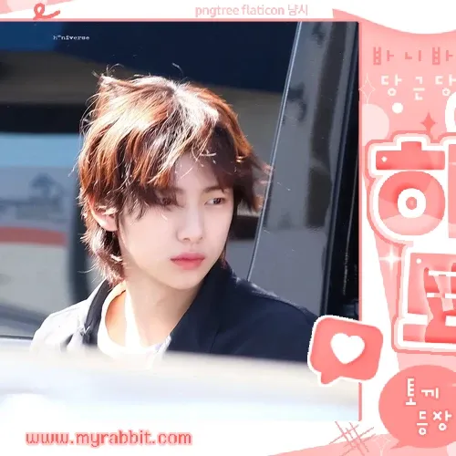 community_articles_contents