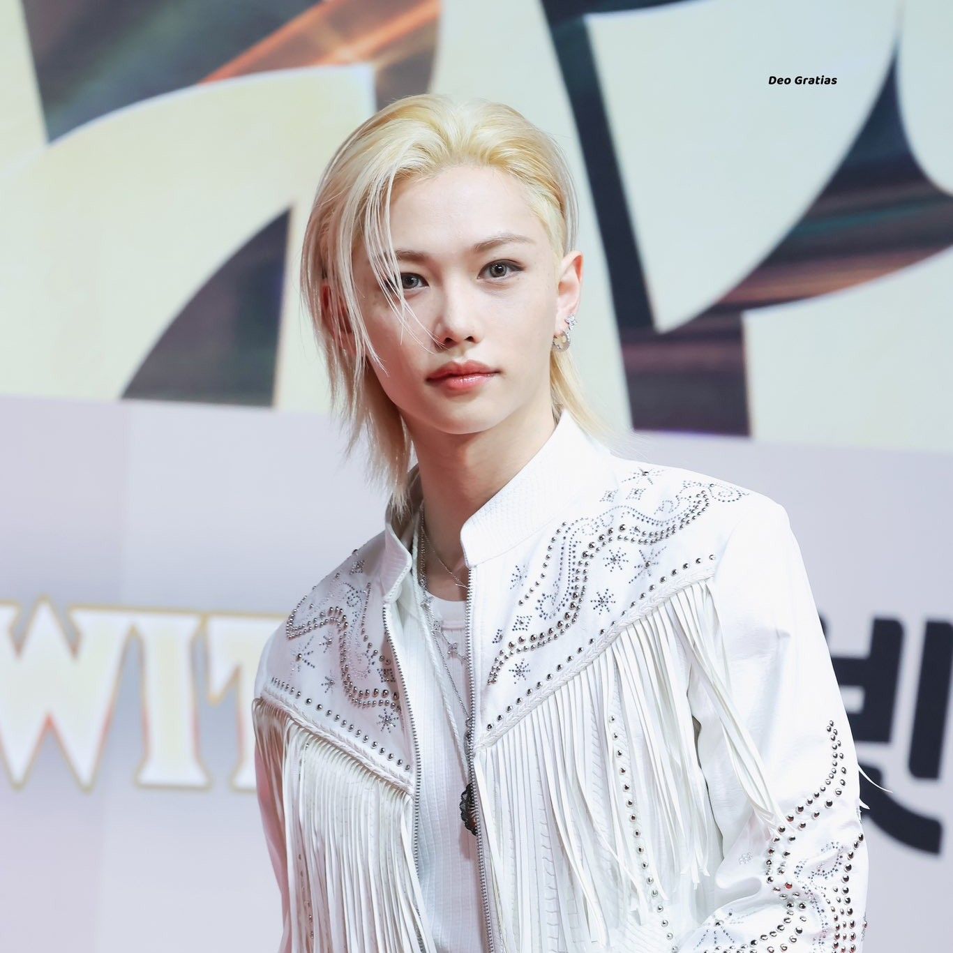 Stray Kids 최근 활동샷