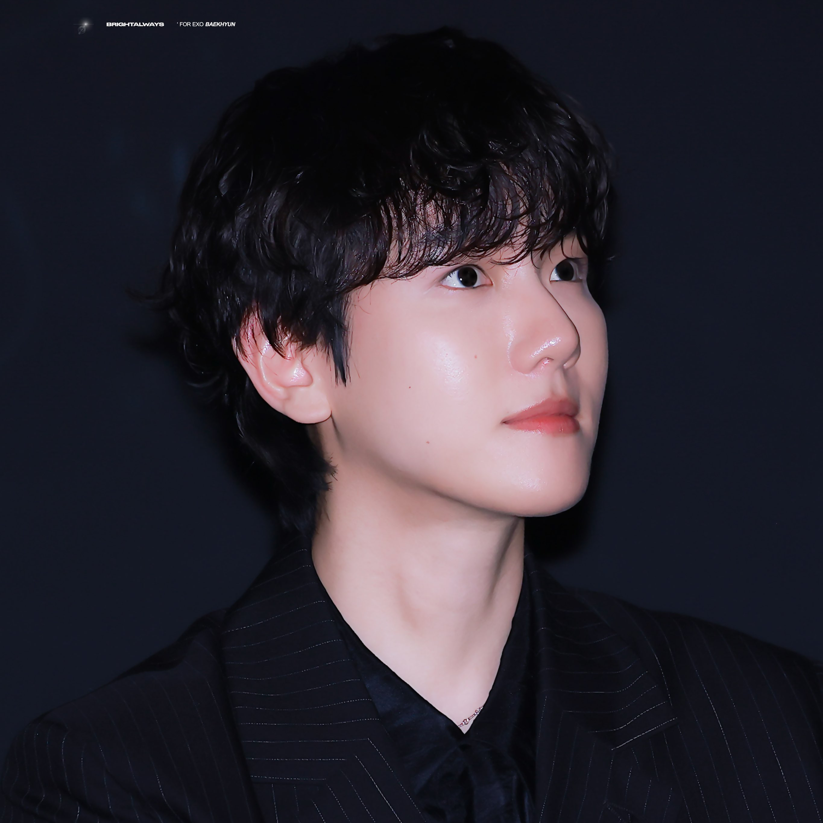 ベクヒョン (EXO)ファンが撮った瞬間