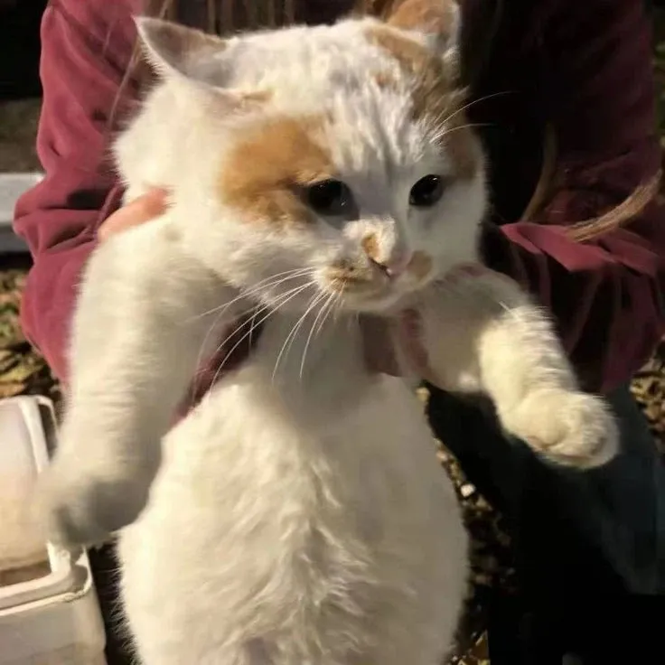 韩彬 (TEMPEST)的最新活动照片