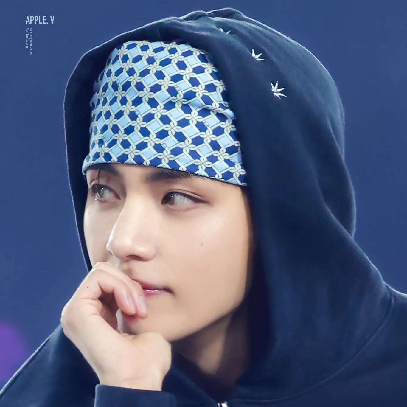 Behind-the-scenes cut of V (BTS)