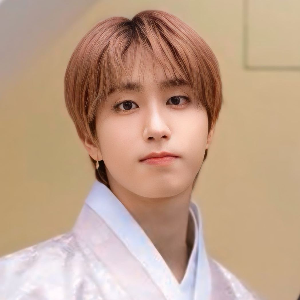 A moment captured by HAN (Stray Kids)'s fan