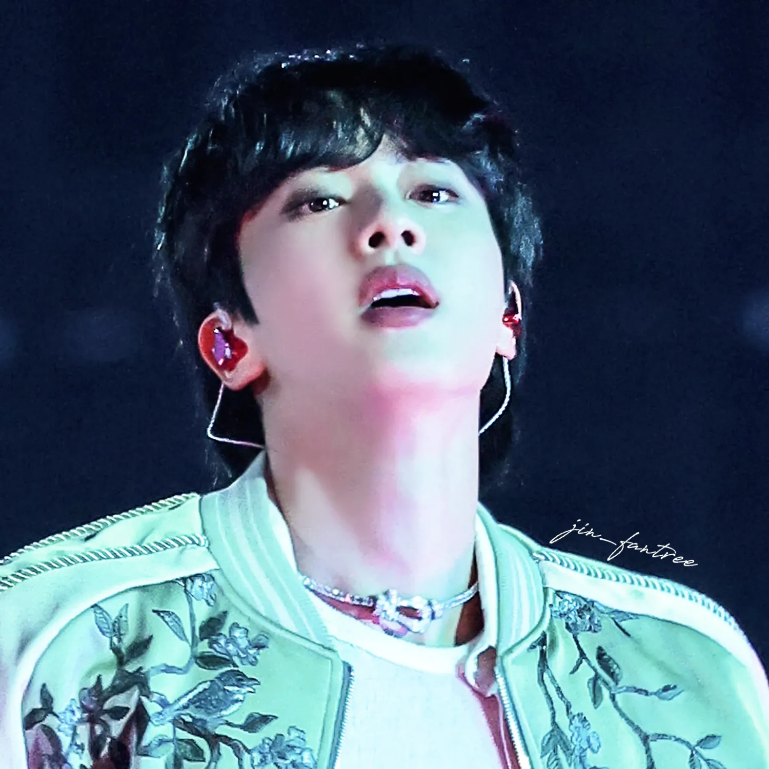 Behind-the-scenes cut of Jin (BTS)