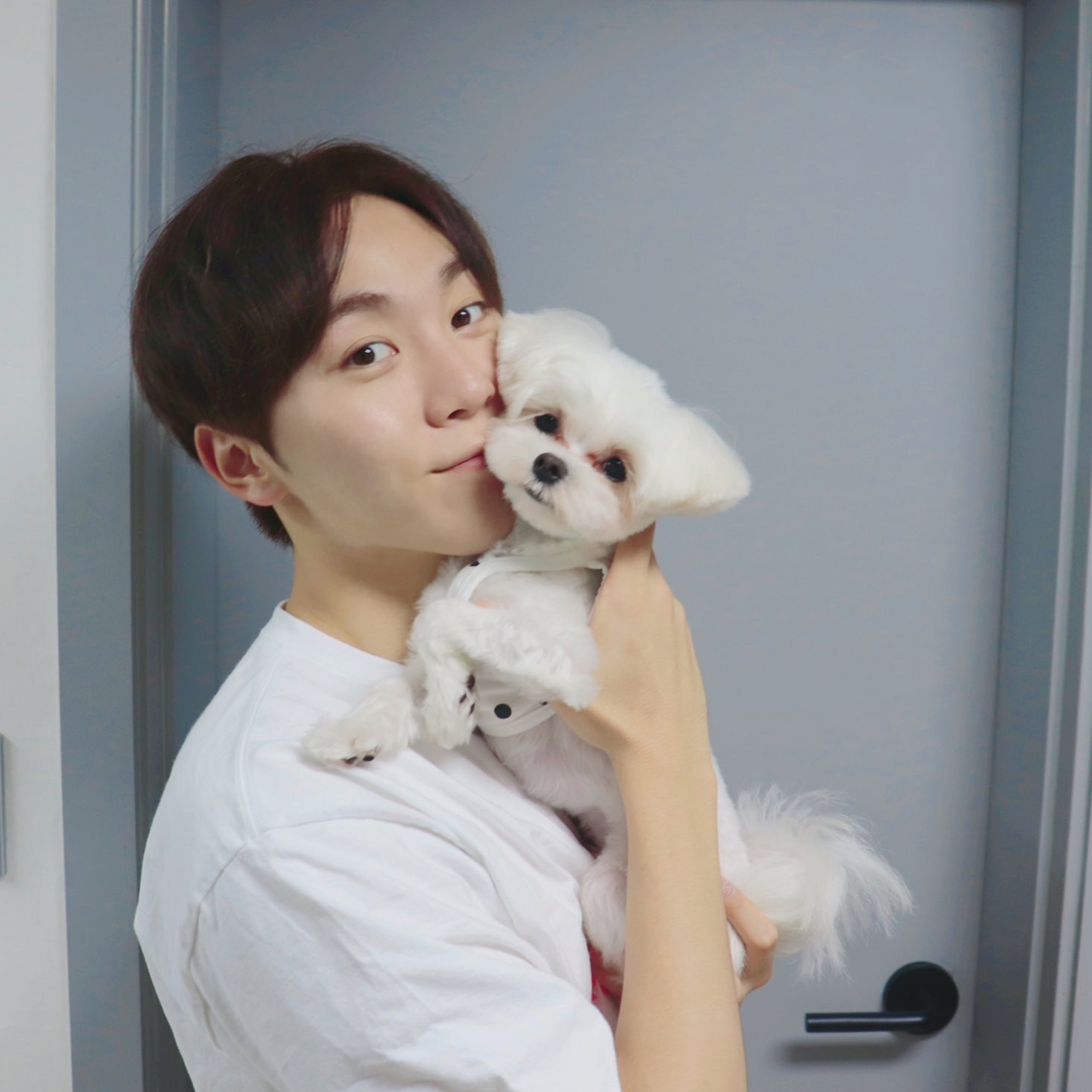 세븐틴 최근 활동샷