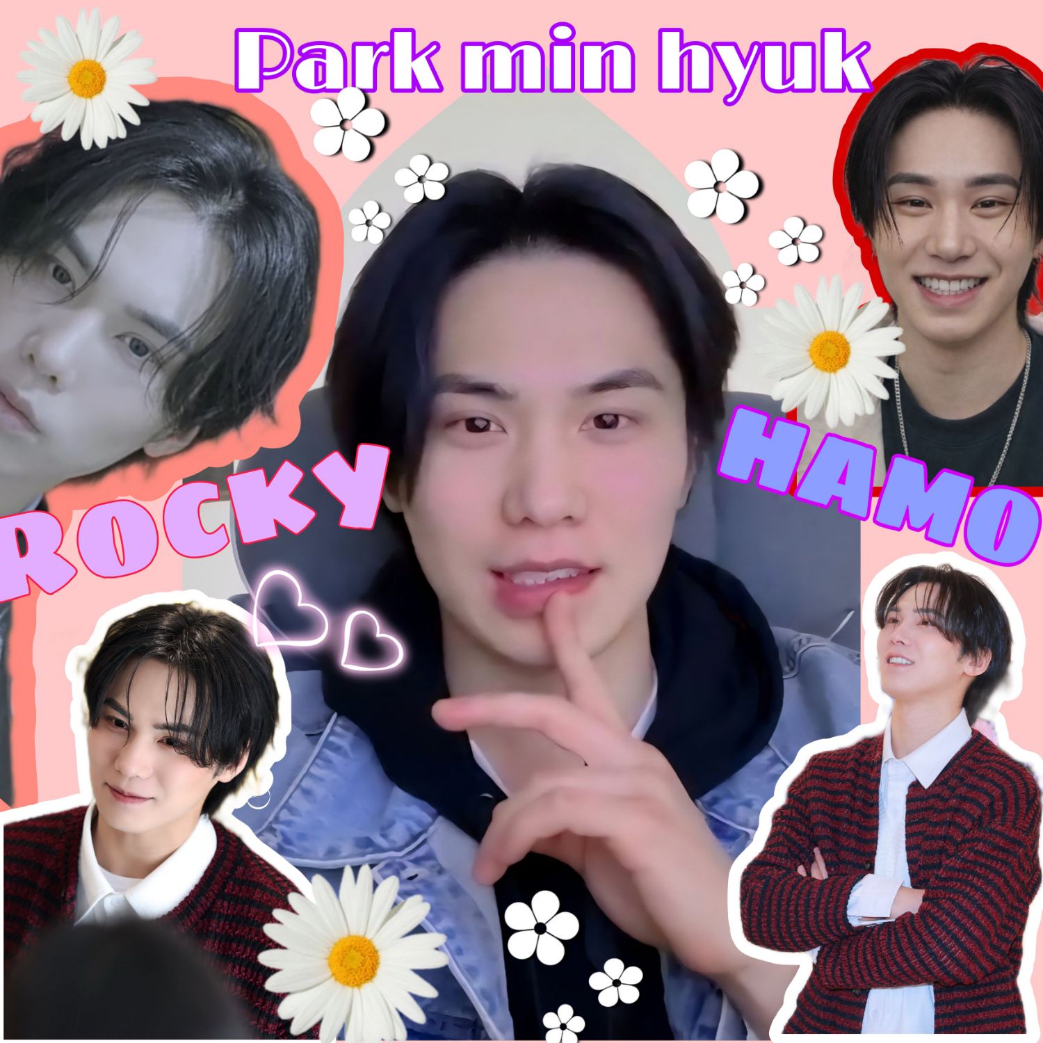 Latest photo of Rocky