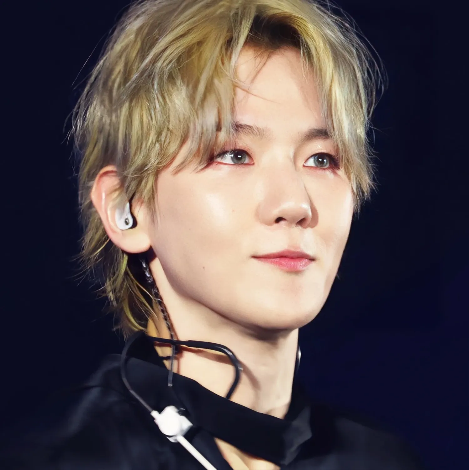 伯賢 (EXO)粉絲拍下的瞬間