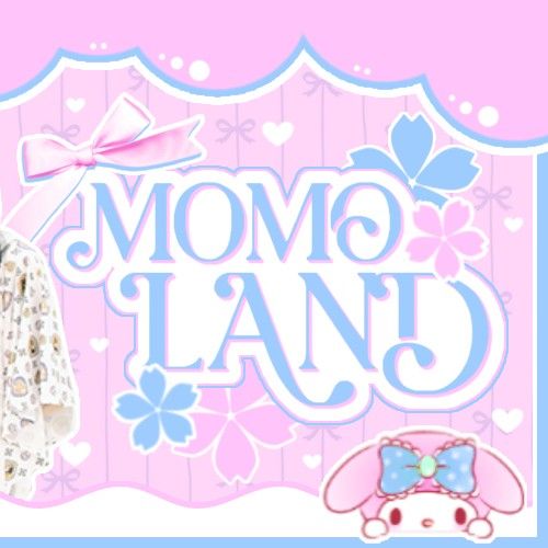 A moment captured by MOMOLAND's fan